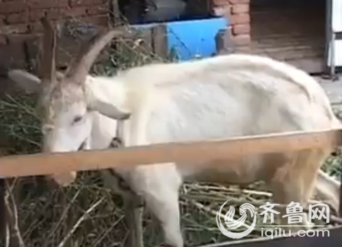 文章附圖